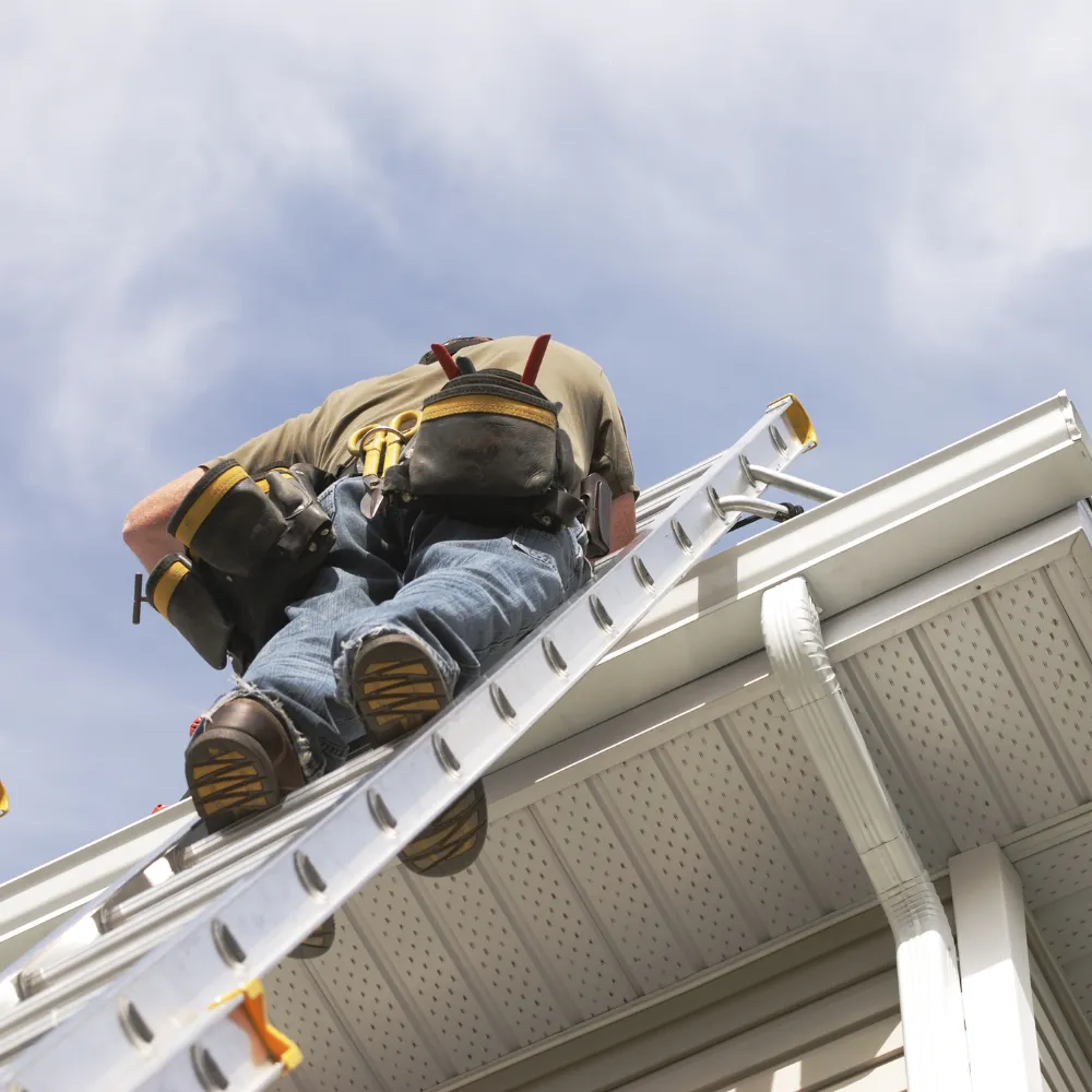 Team Leader - Services