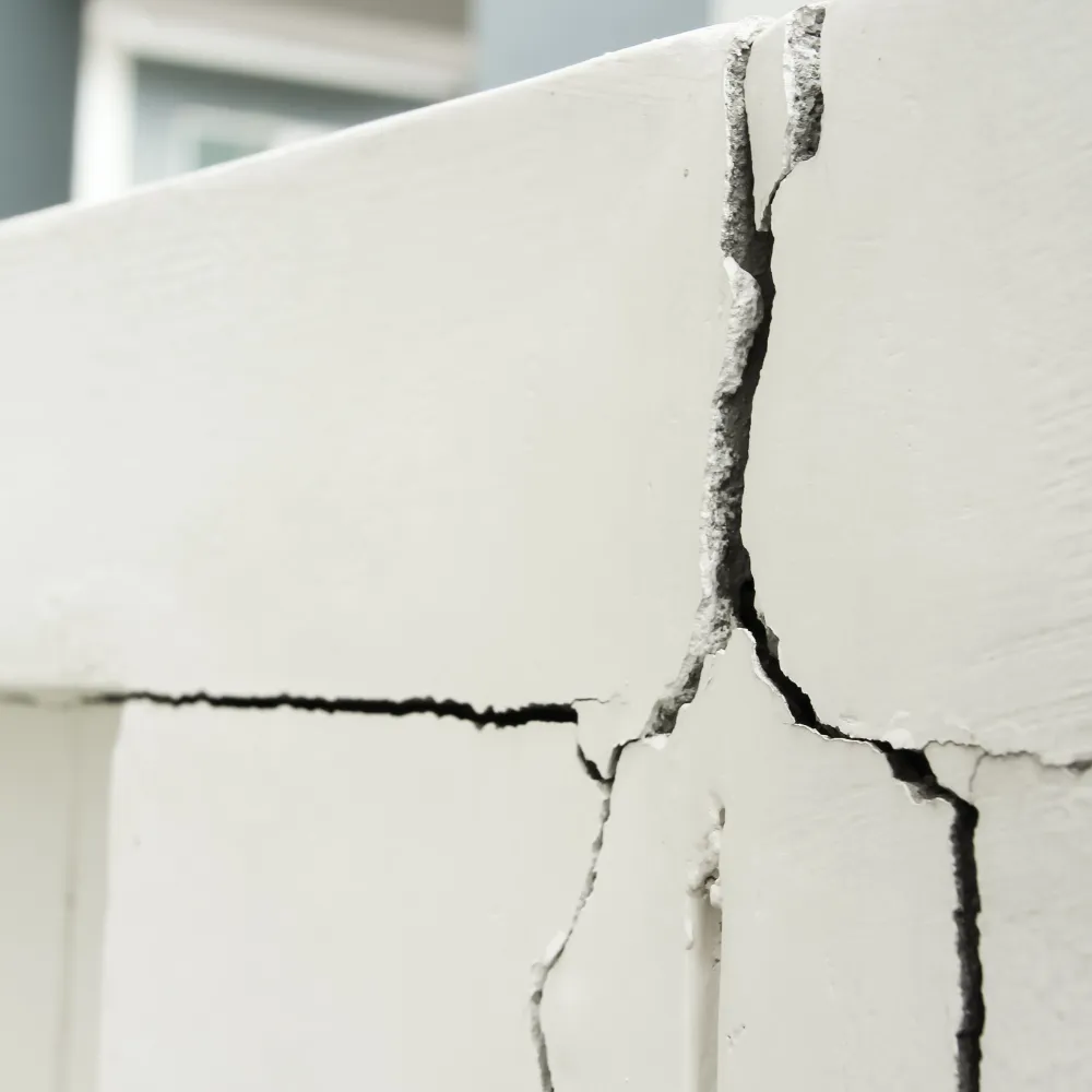 Team Leader - Services